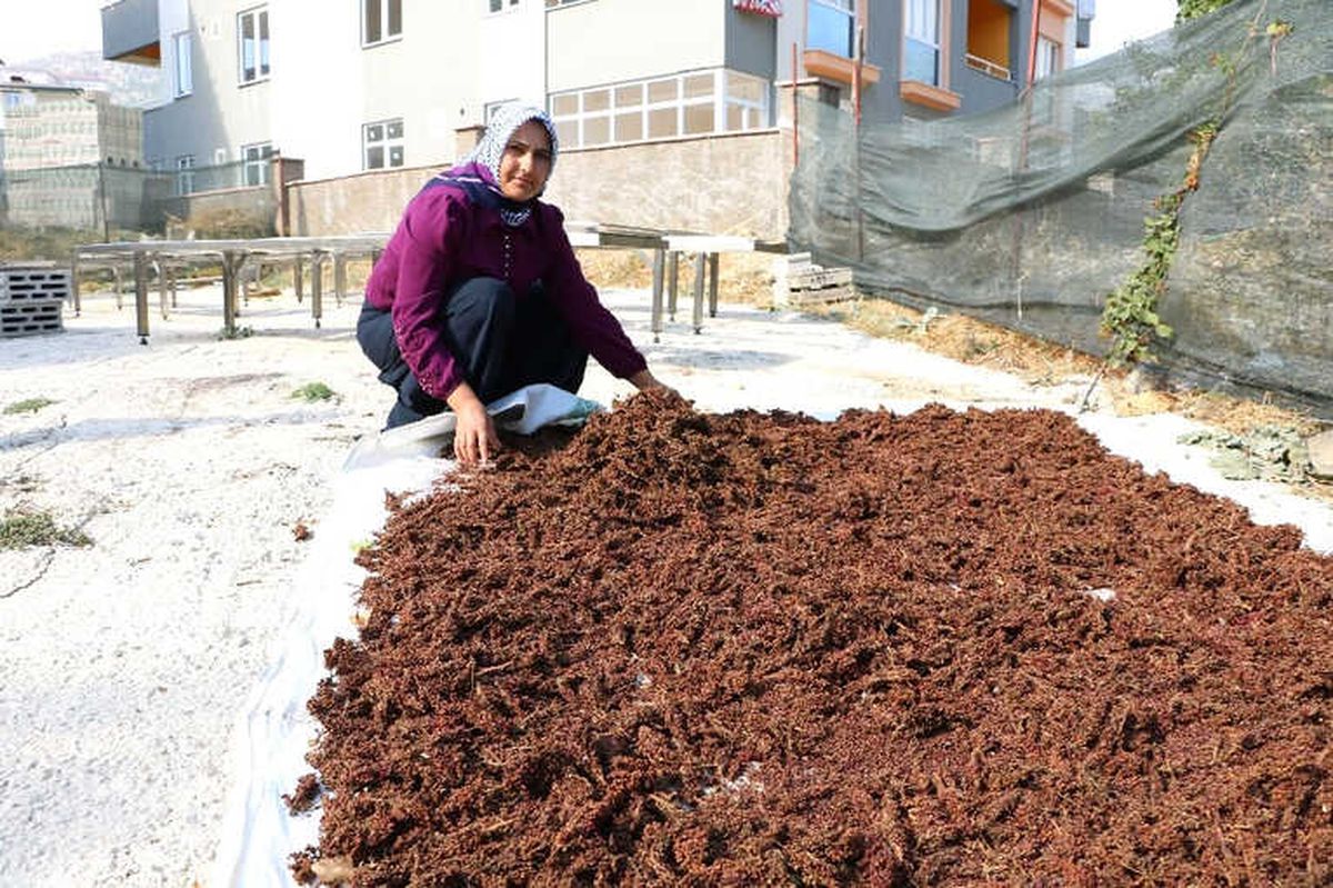 Kahramanmaraş\'ta Kadın Girişimciler İçin Program