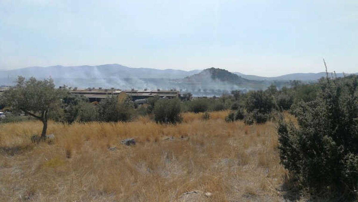 Milas\'ta Makilik Yangını