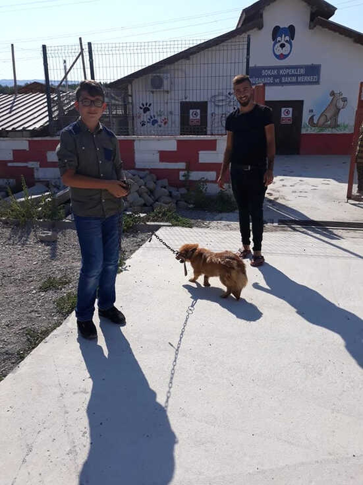 Niksar Belediyesi Hayvanları Sahiplendiriyor