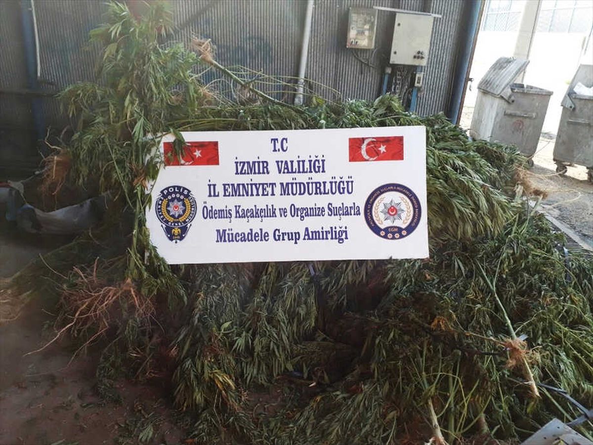 Ödemiş\'te Uyuşturucu Operasyonu