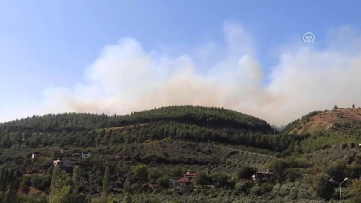 Osmaniye\'deki Orman Yangını