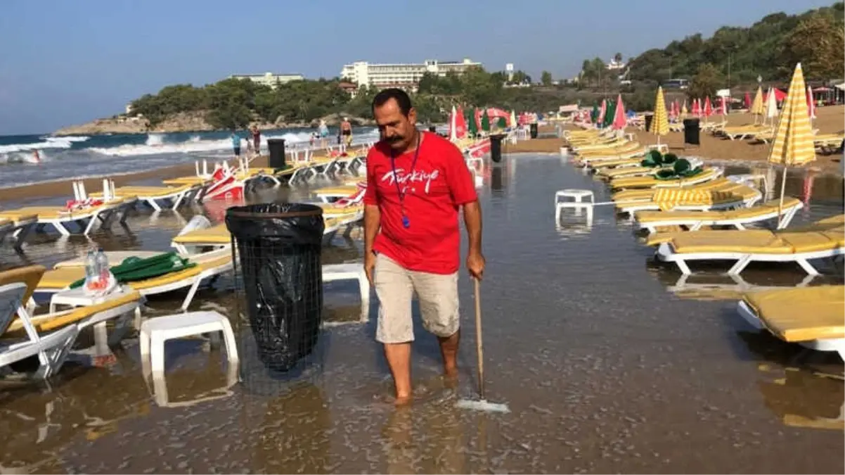 Sabah Plaja Gelen İşletmeci Gözlerine İnanamadı