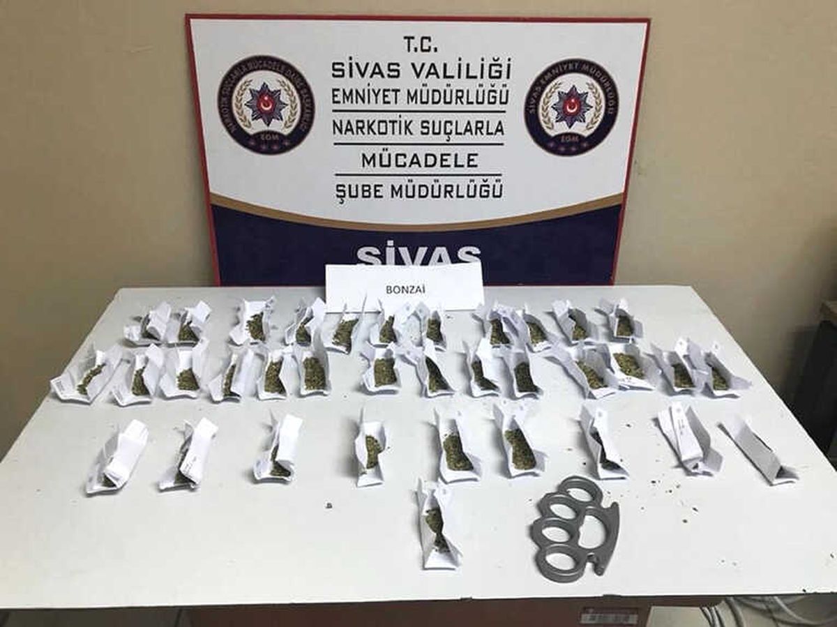Satışa Hazır Bonzai Ele Geçirildi