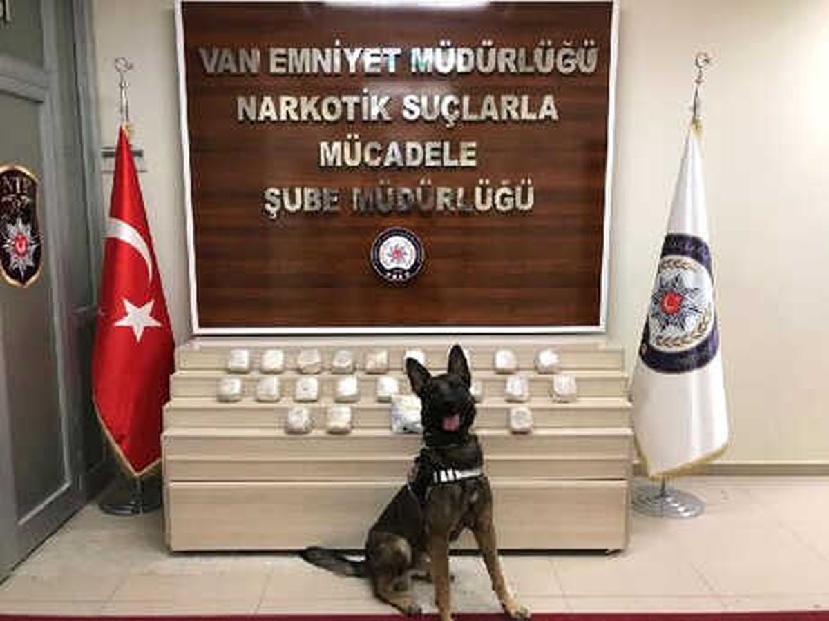 Van\'da 11 Kilo Eroin ile 1 Kilo Afyon Sakızı Ele Geçirildi