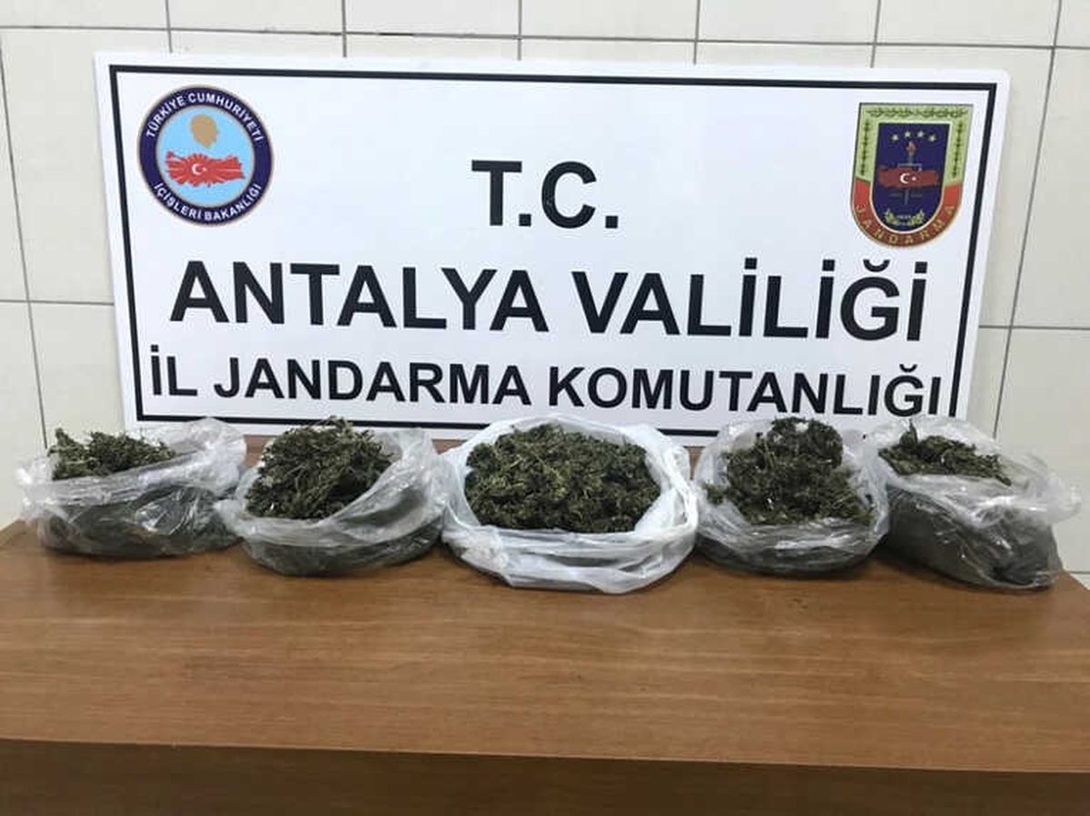 Alanya\'da 2 Kilo Esrar Ele Geçirildi