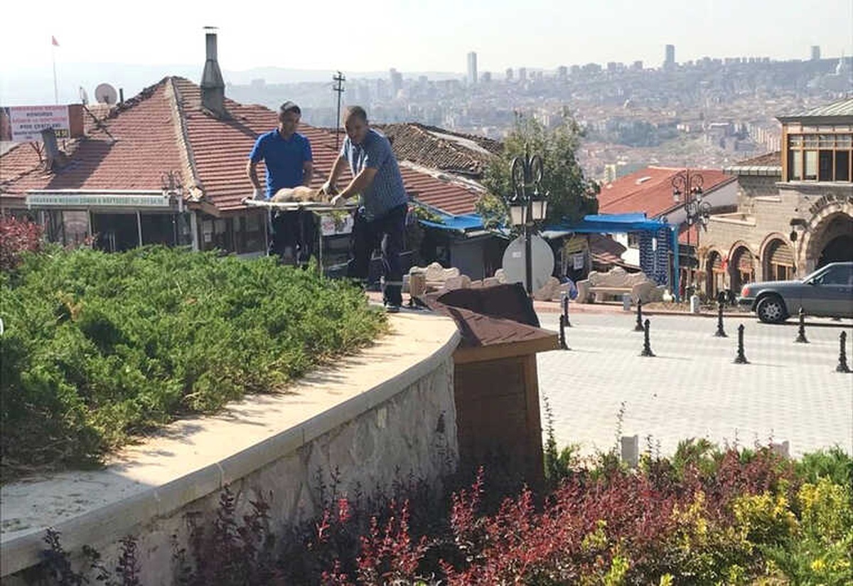 Altındağ\'daki Hasta Sokak Köpeğine Anında Müdahale
