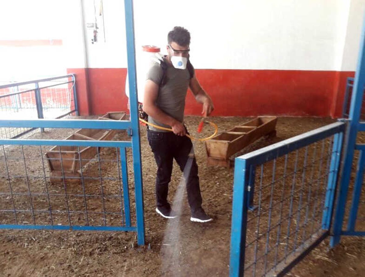 Aziziye\'de İlaçlama Seferberliği