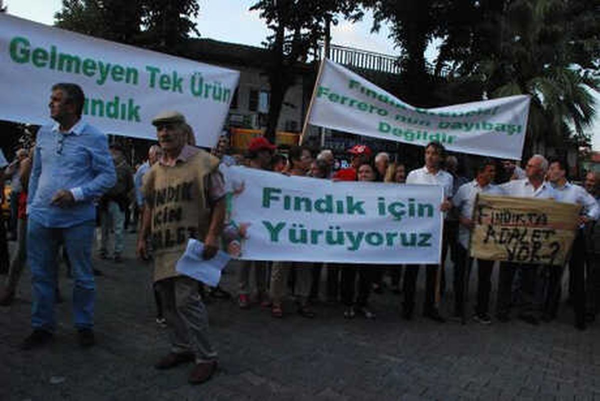 CHP\'liler Akçakoca\'da \'Fındık\' İçin Yürüdü