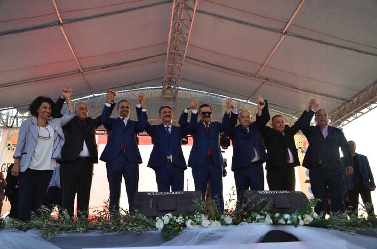 Gemlik\'te Zeytini Festivali Coşkusu