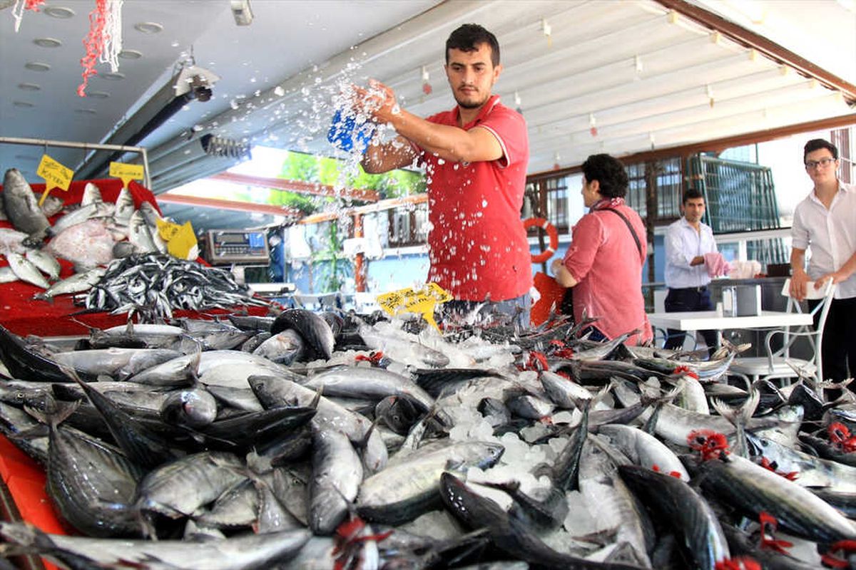 Karadeniz\'de Balık Bolluğu