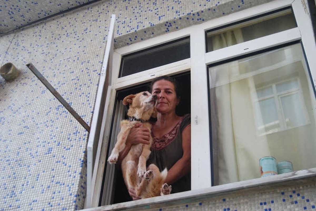 Köpek Havlaması Mahalleli ile İnşaat İşçilerini Birbirine Düşürdü