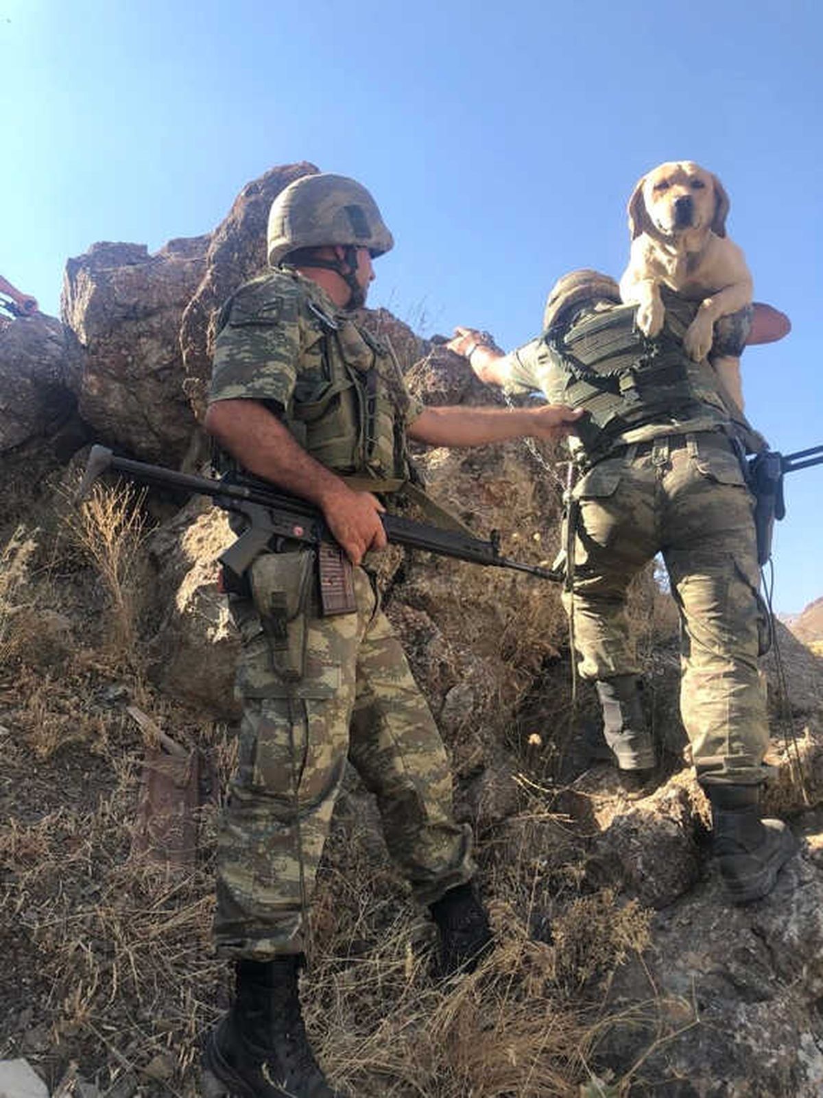 Mayın Arama Köpeği \'Yay\' Operasyonda