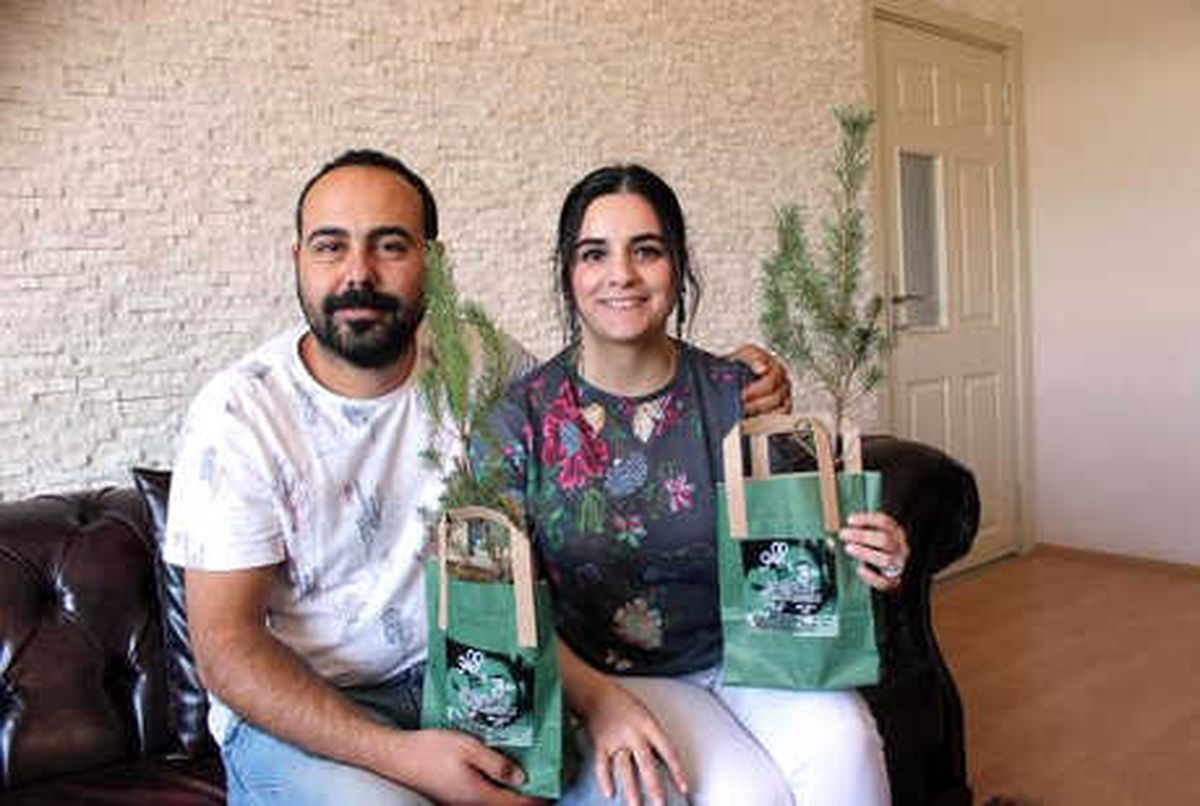 Ormanların Önemine Dikkat Çekmek İçin Çam Fidanlı Düğün Davetiyesi Dağıttılar