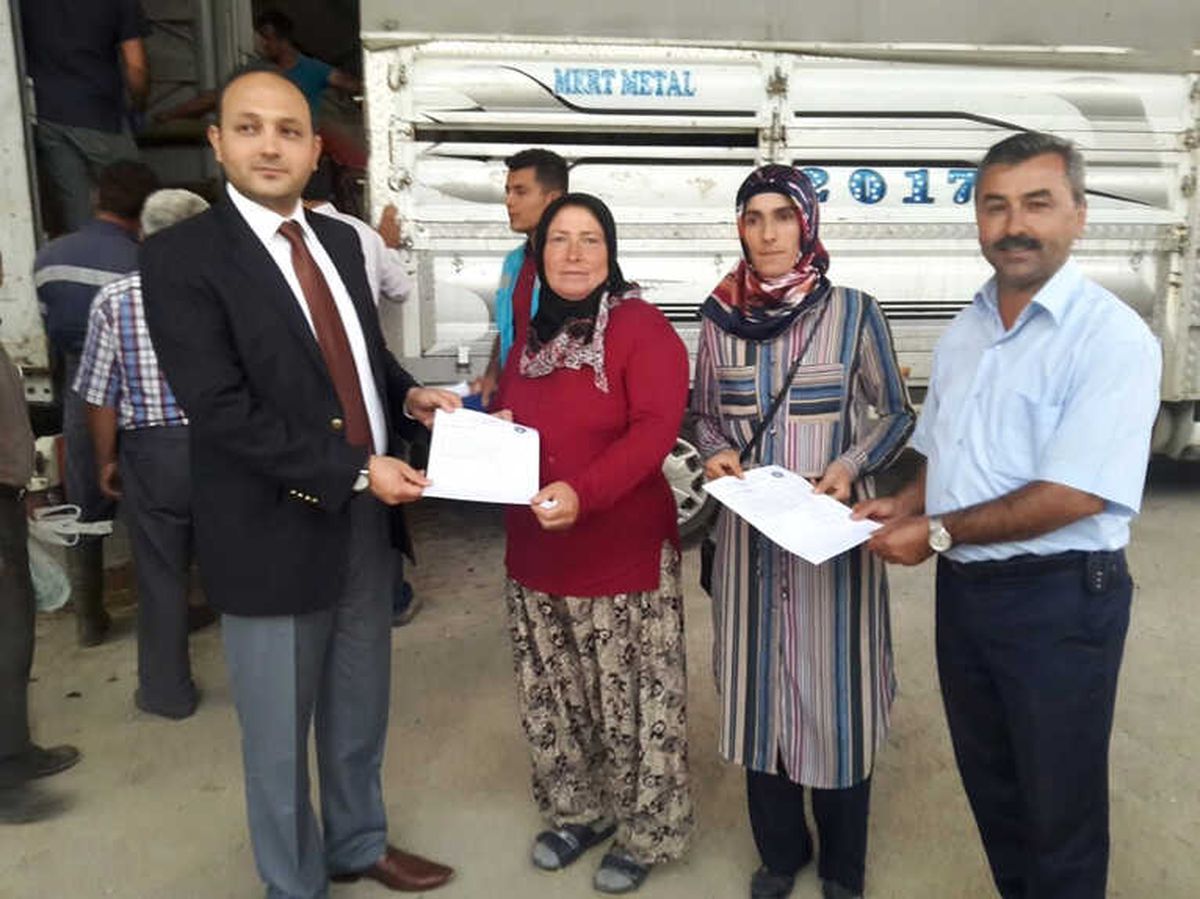 Pazarlar\'da 8 Genç Çiftçi\'ye 5\'er Adet Büyükbaş Hayvan
