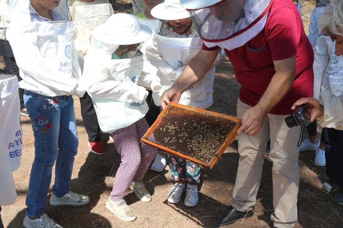 Saburhaneli Çocuklara Arıcılık Eğitimi