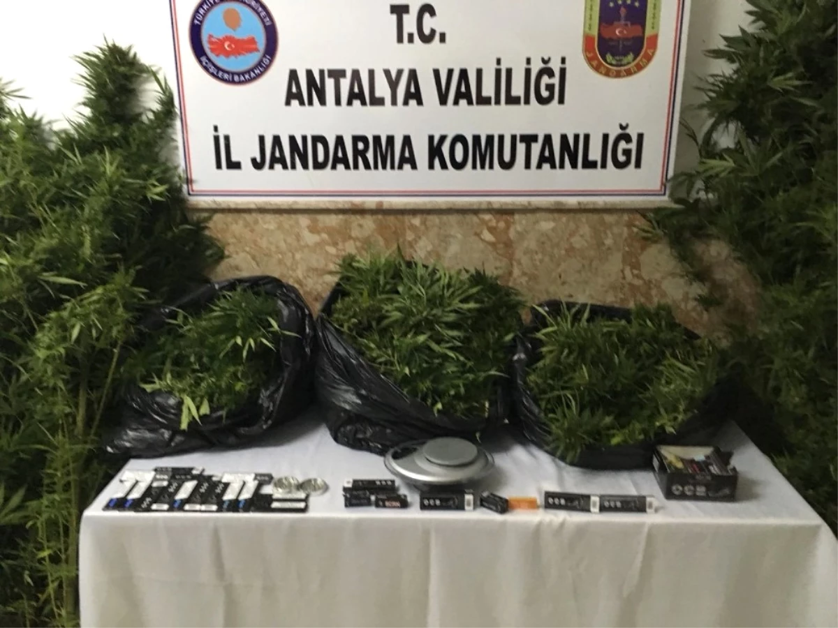 Antalya\'da 26,5 Kilo Esrar Ele Geçirildi