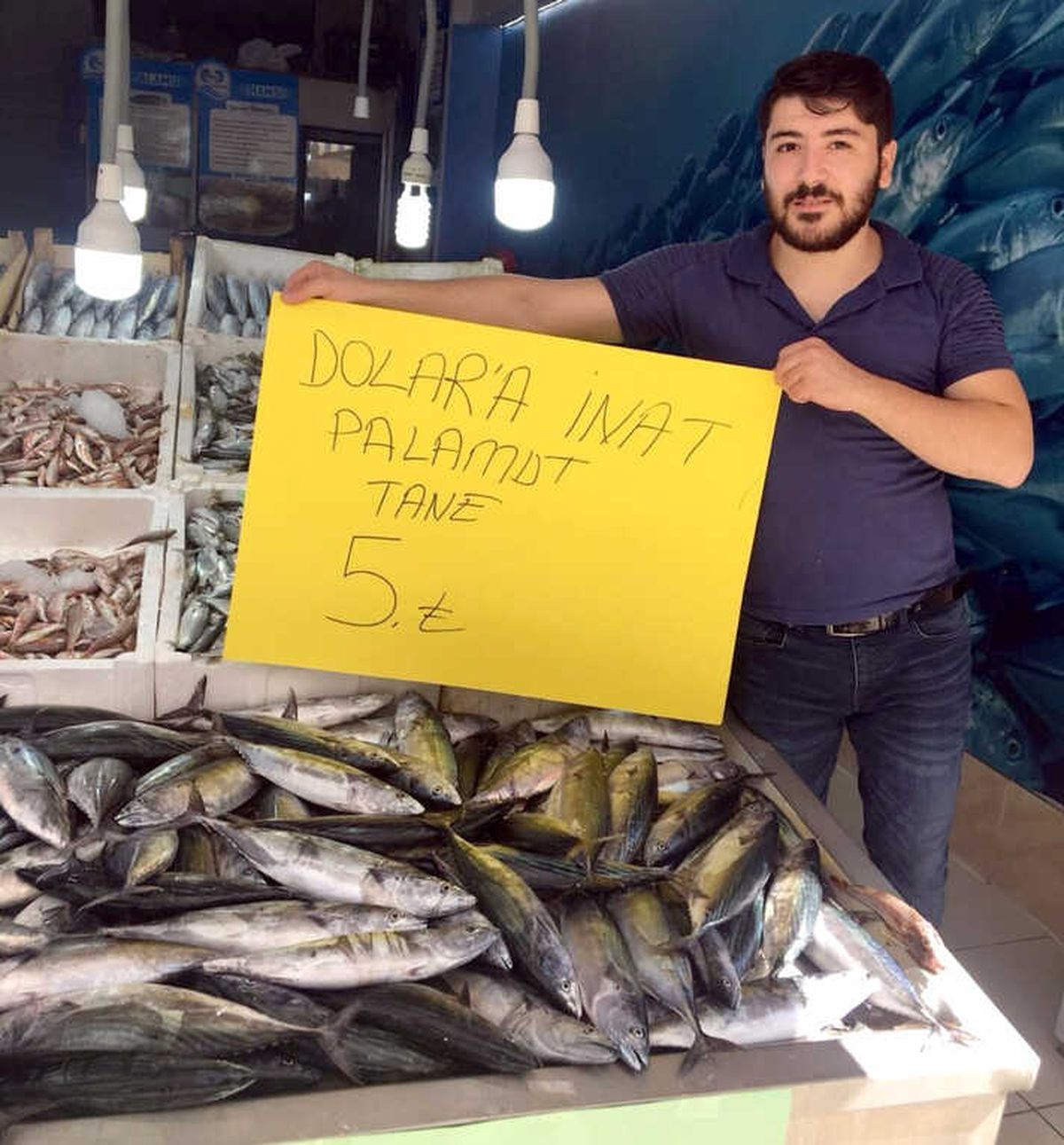 Dolara İnat Palamut 5 Tl