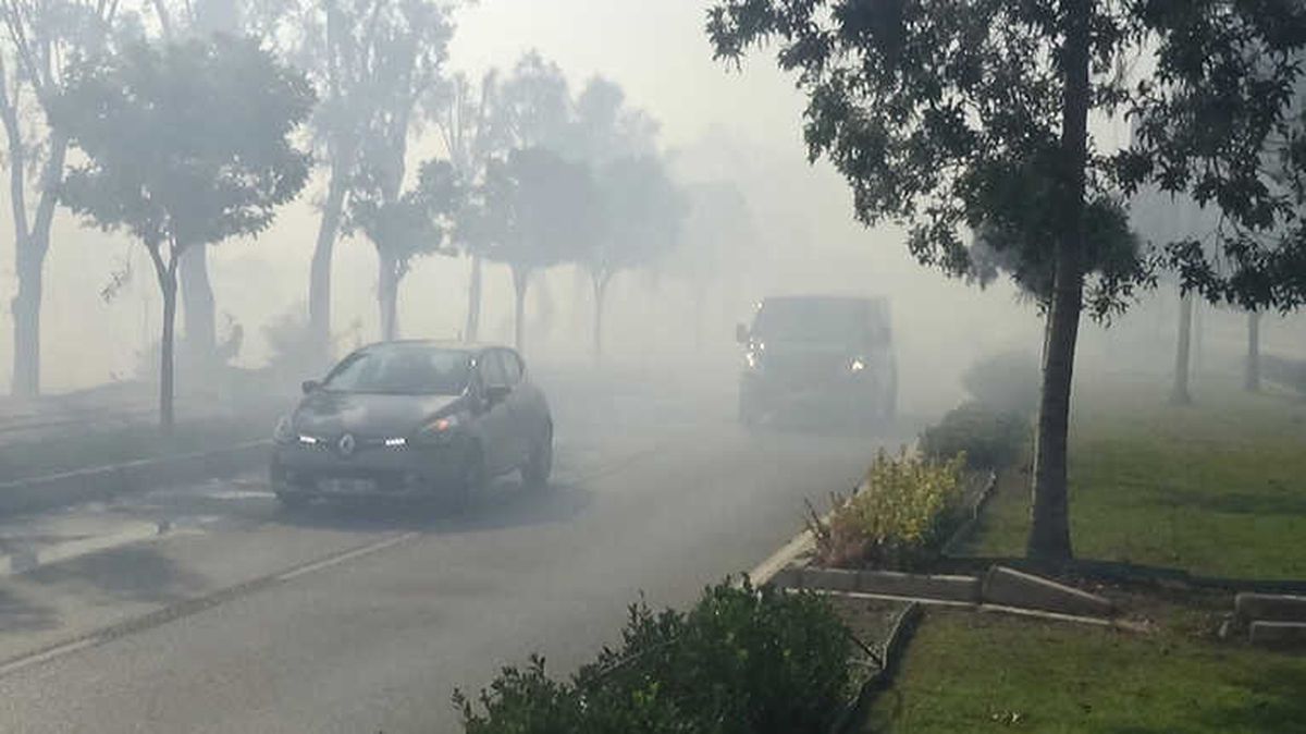 İzmir\'de Ot Yangını Paniğe Sebep Oldu