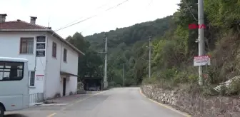 Kocaeli Gölcük'te Şarbon Önlemi Hd