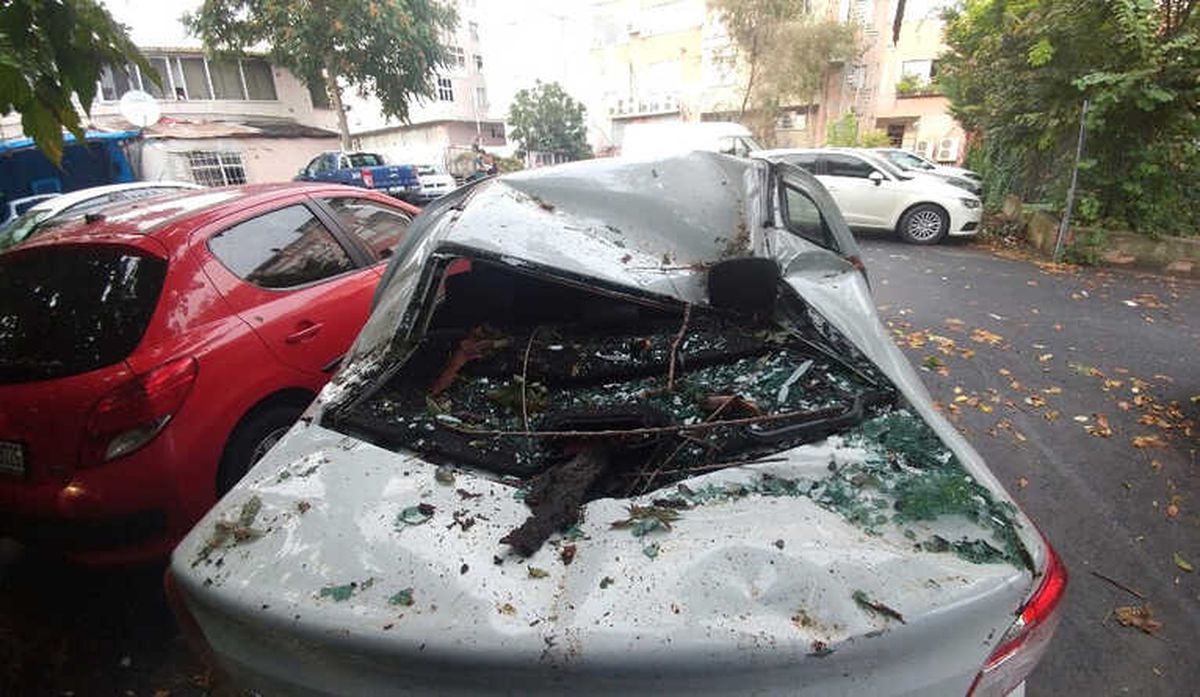 Şiddetli Yağan Dolu, Yarım Asırlık Ağacı Yerinden Söktü
