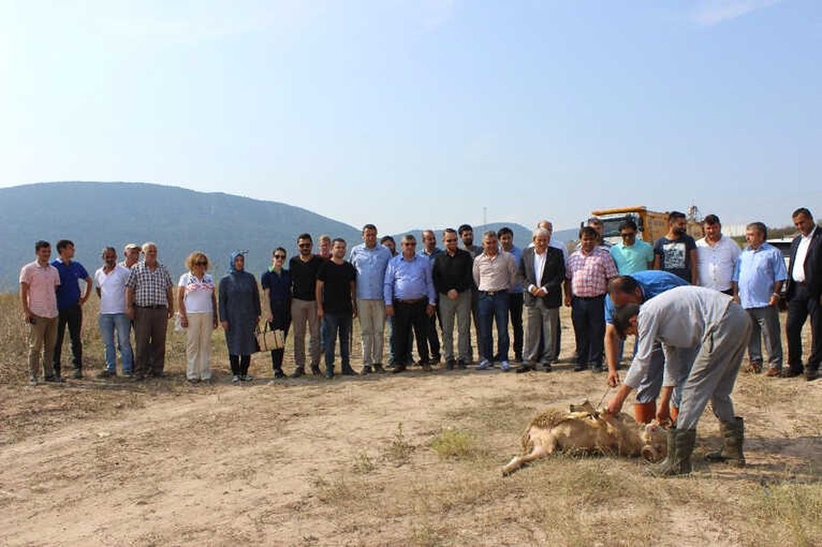 Tayraş İçin Osb\'de İlk Kazma Vuruldu