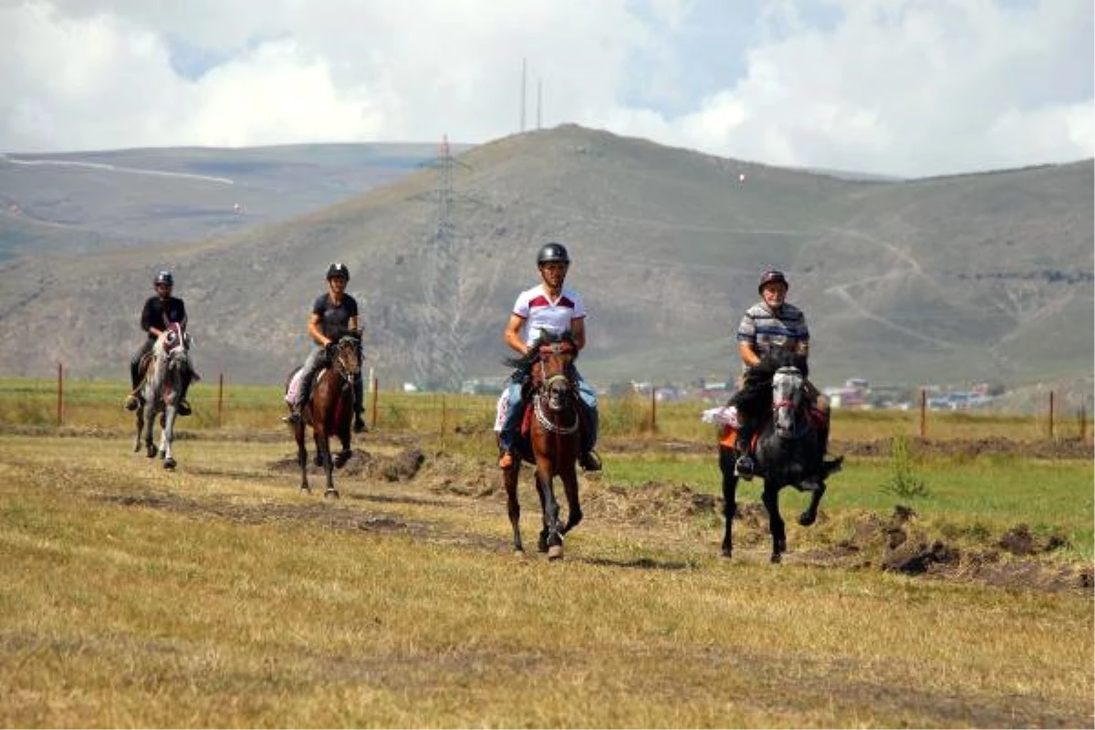 Ardahan\'da Rahvan ve Doğu Anadolu At Yarışları Şampiyonası