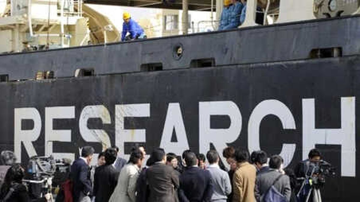 Japonya: Sürdürülebilir Balina Avcılığının Zamanı Geldi