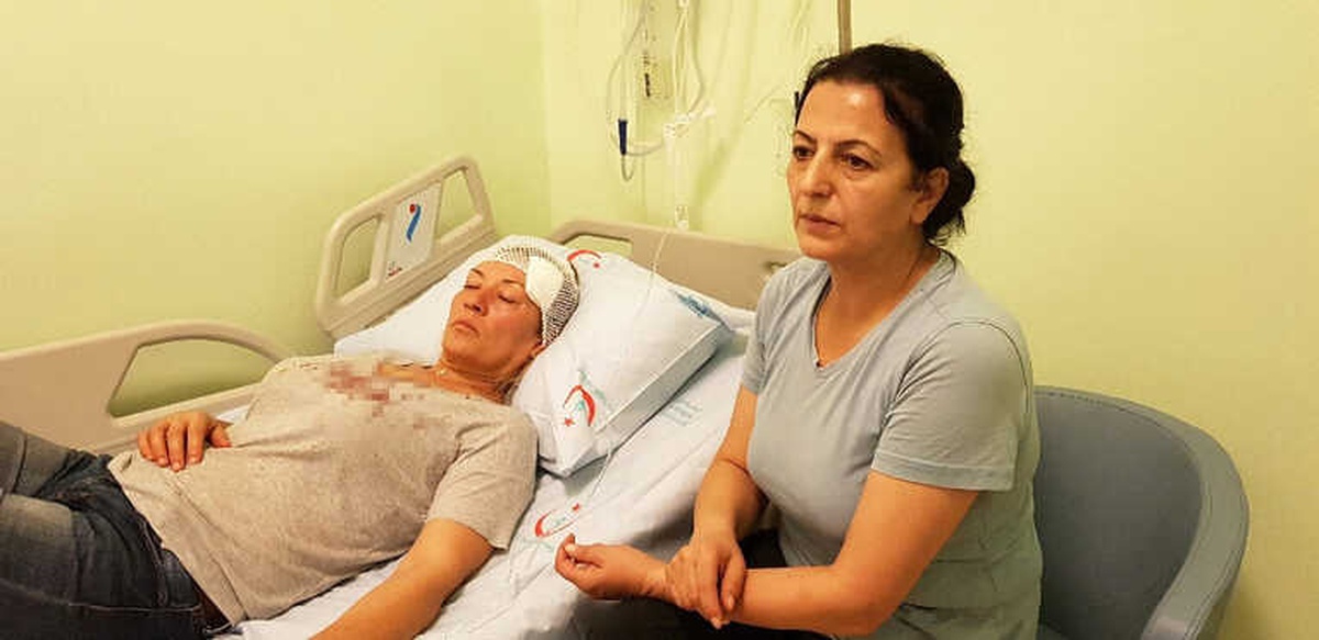 Köpeklerini Gezdirirken Taşlı Saldırıya Uğradı