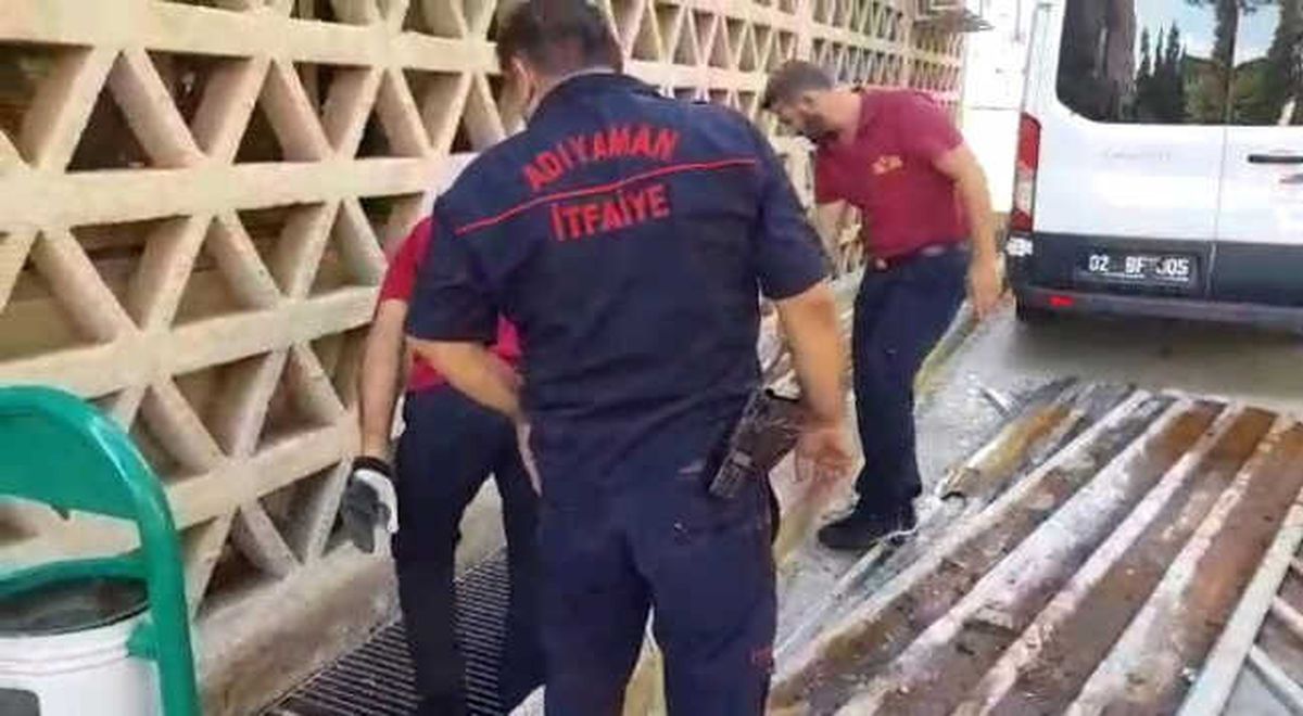 Mahsur Kalan Kediyi İtfaiye Ekipleri Kurtardı