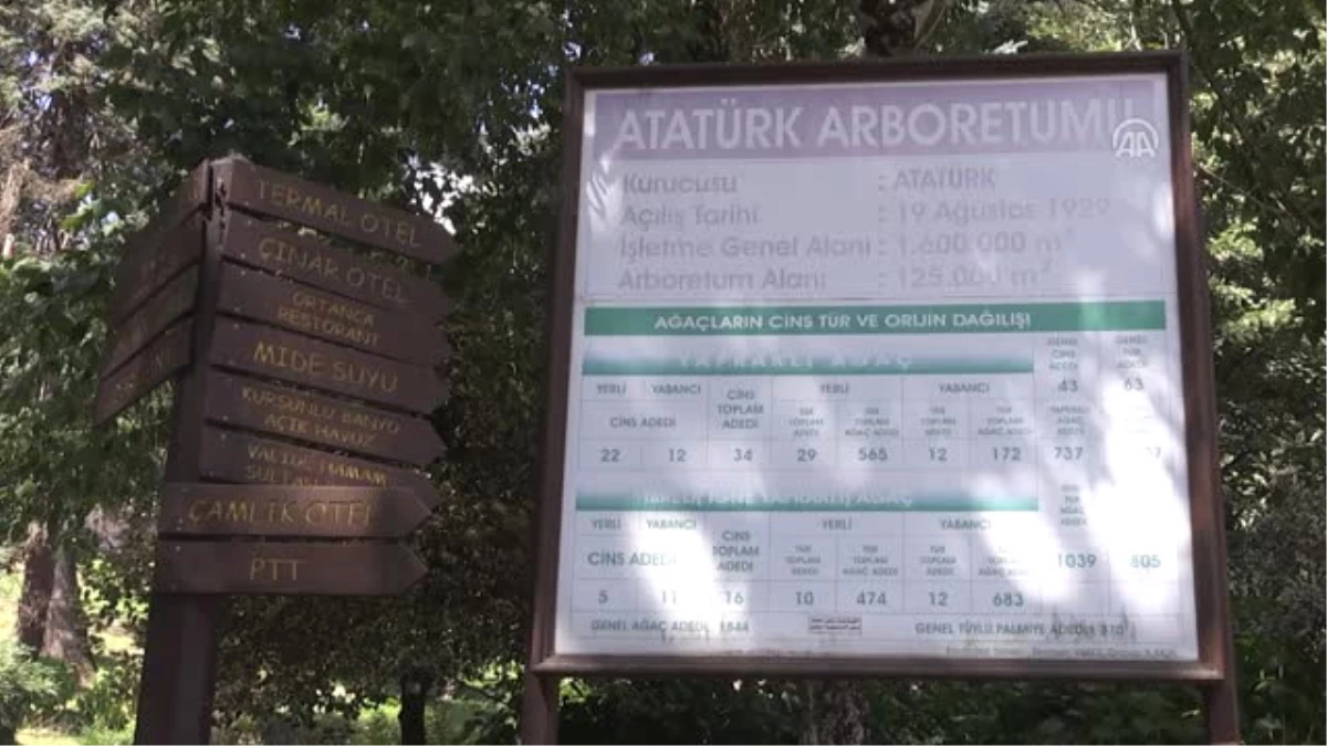 Türkiye\'nin İlk Arboretumu 89 Yaşında - Yalova