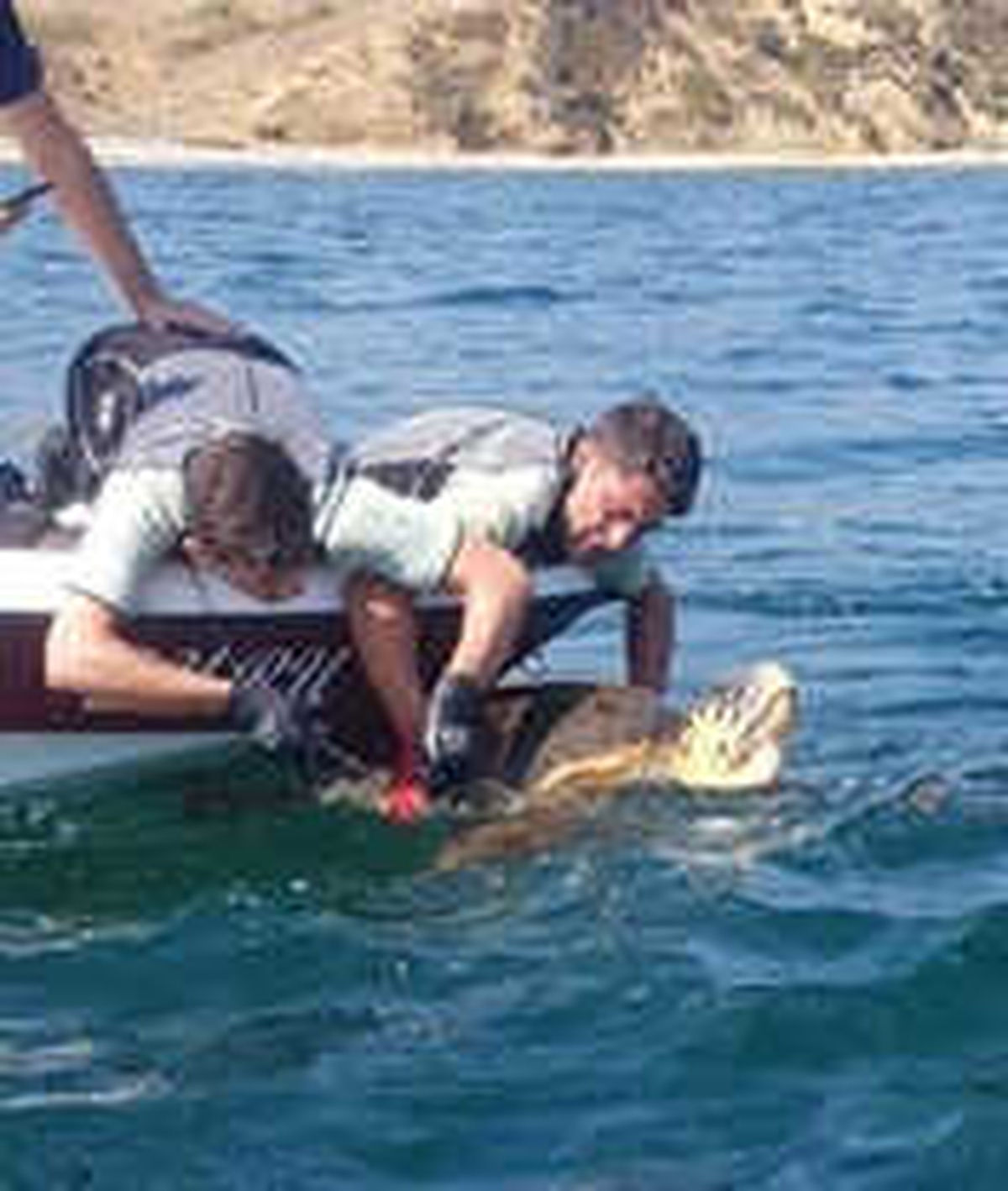 Caretta Carettayı Sahil Güvenlik Kurtardı