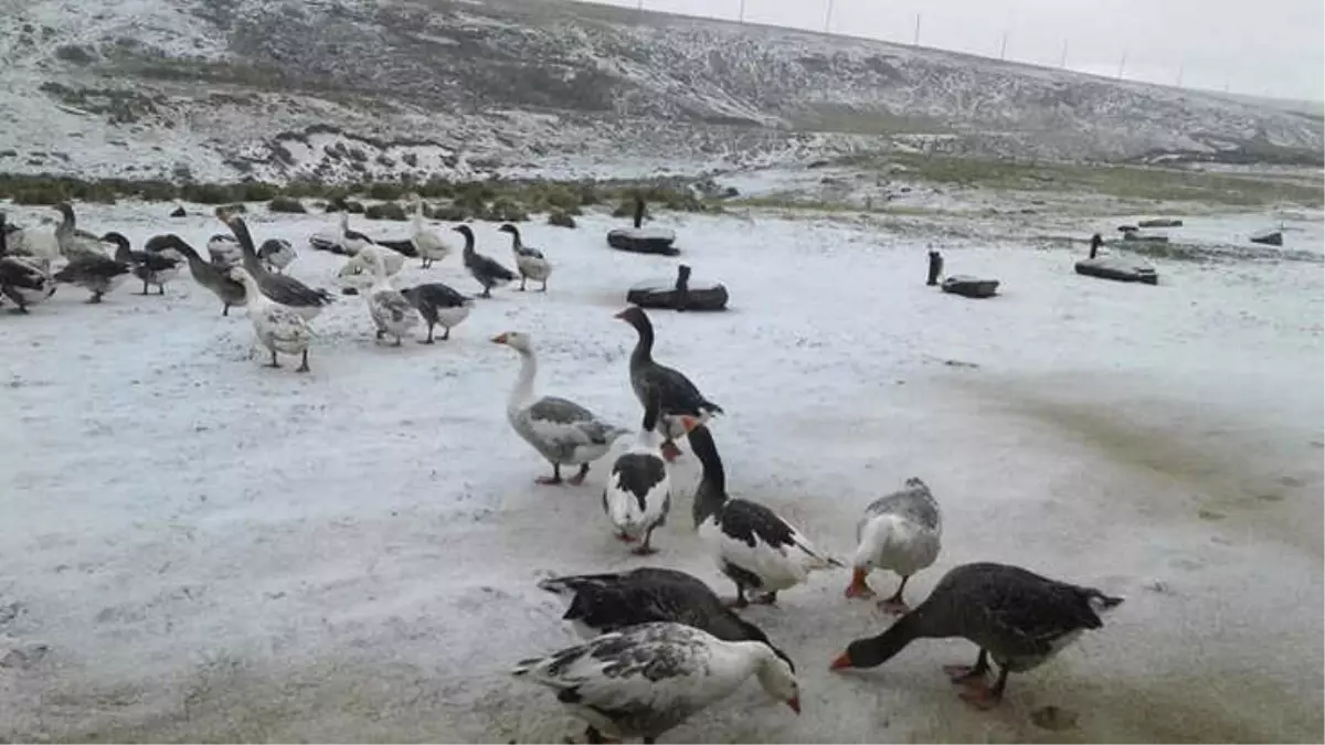 Doğu\'da Yüksek Kesimlere Mevsimin İlk Karı Düştü