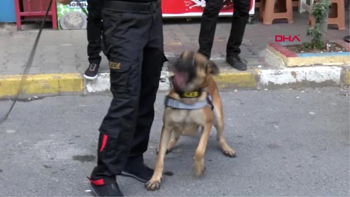 İstanbul Öğrenciler Narkotik Köpeği ile Özçekim Yaptı