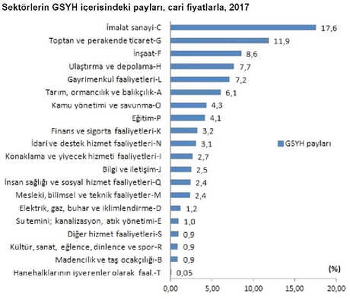Kişi Başına Yıllık Gelir 20 TL ve 5 Dolar Yukarı Yönlü Revize Edildi