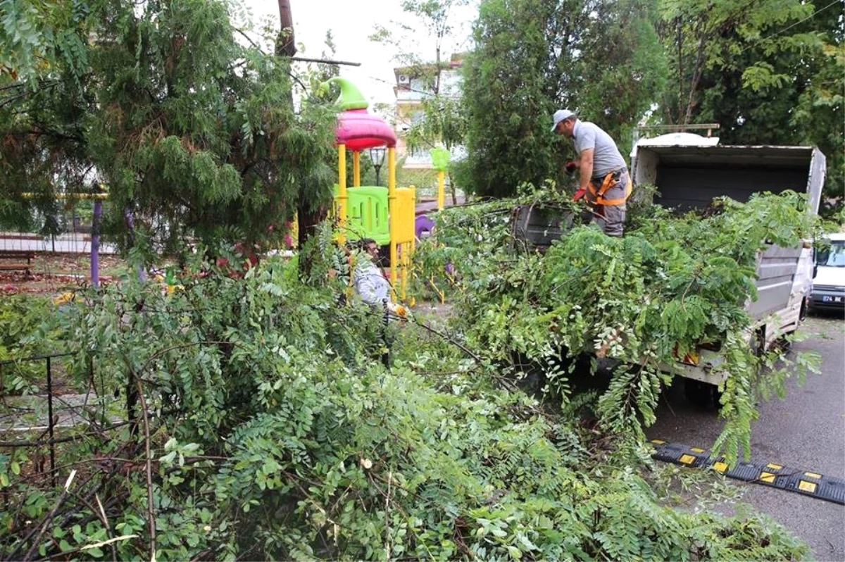 Parklarda Temizlik Çalışmaları Devam Ediyor