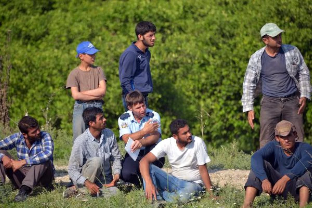 Tarımda İşçi Açığı Suriyeliler ile Giderilecek