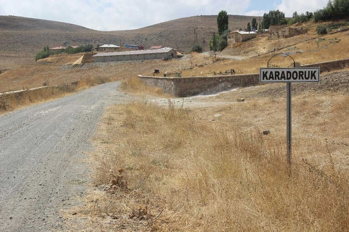Telef Olan İnekte Şarbon Virüsüne Rastlandı