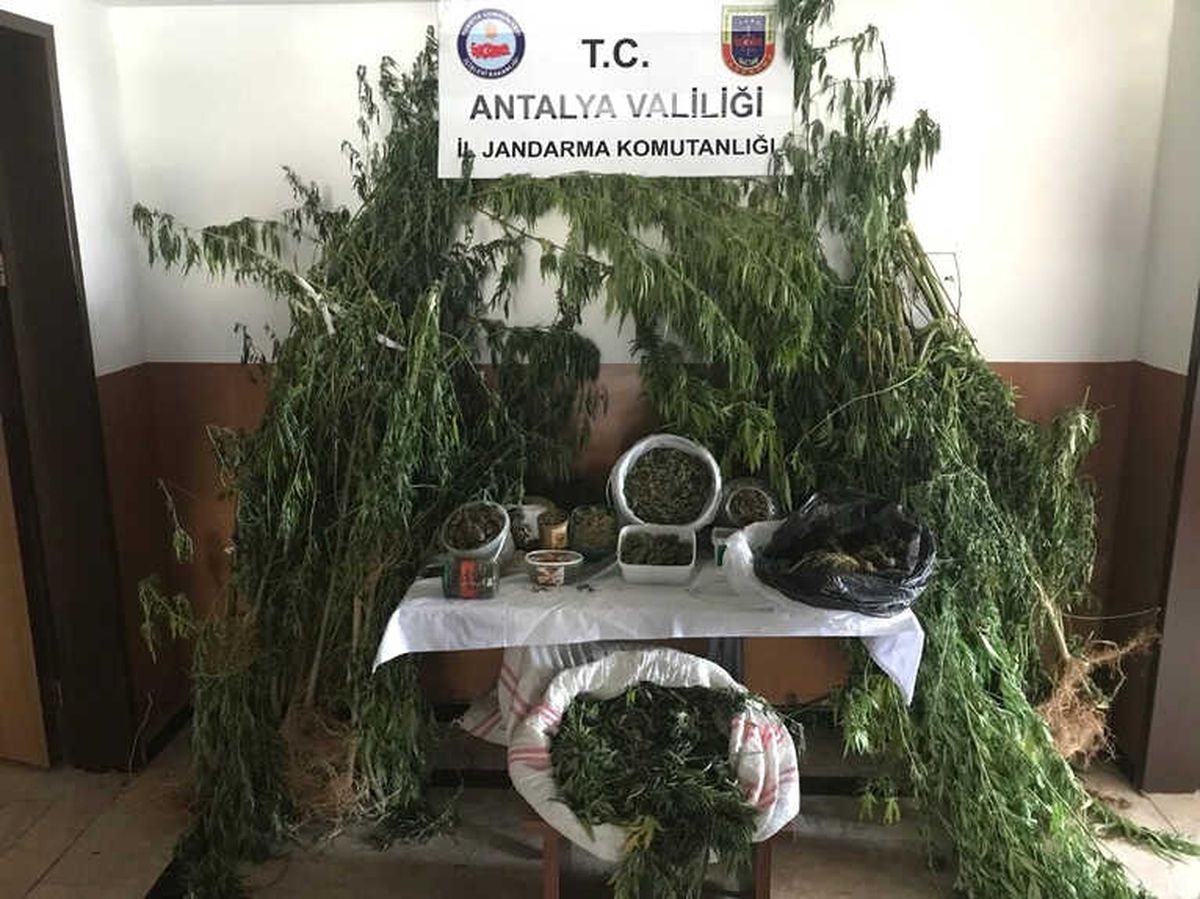 Alanya\'da 6 Kilo Esrar Ele Geçirildi