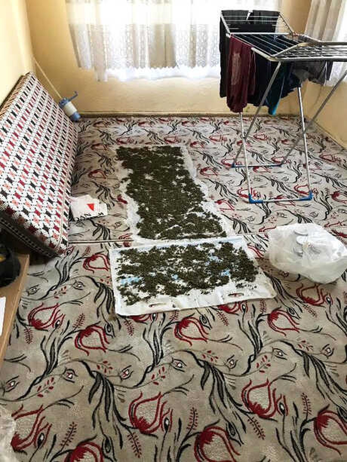 Evde Çamaşırlarla Birlikte Kurutulan Esrar Ele Geçirildi