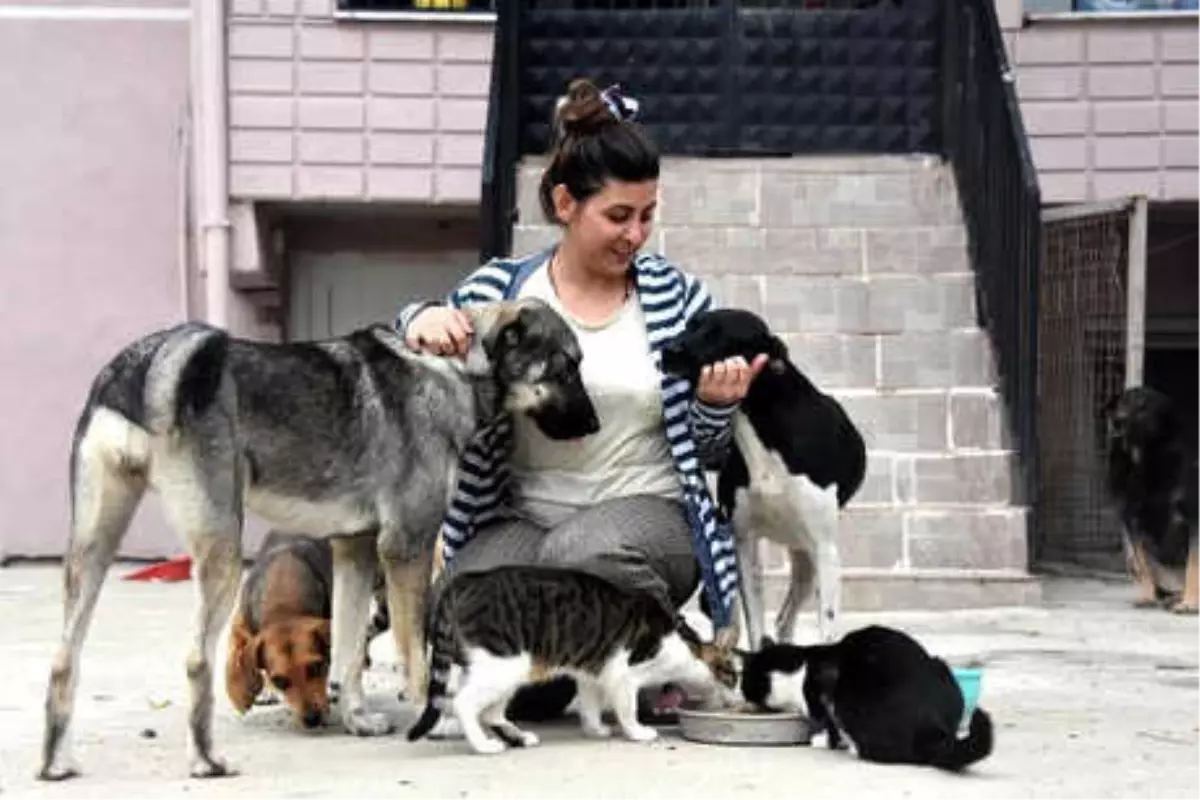 Ölen Annesinin Evde Beslediği Sokak Hayvanlarının Bakımını Üstlendi