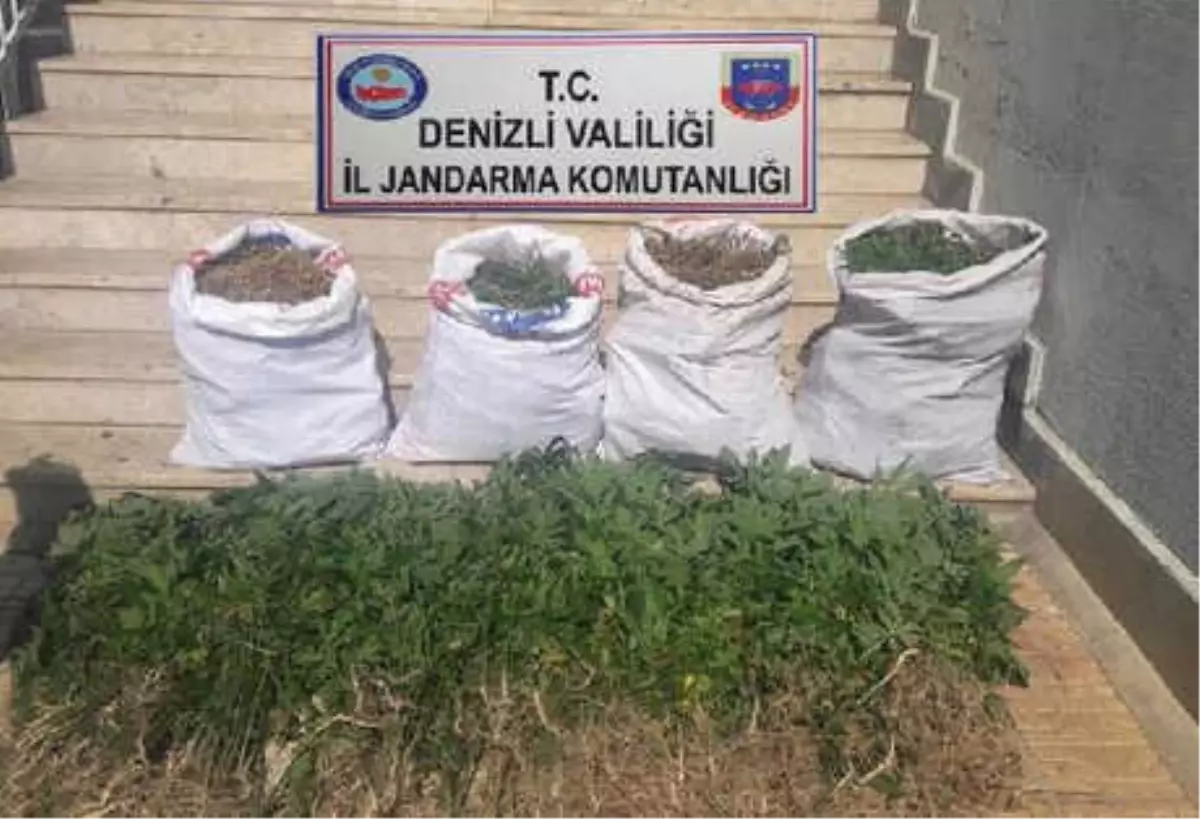 Tavas\'ta 23 Kilo 650 Gram Esrar Ele Geçirildi