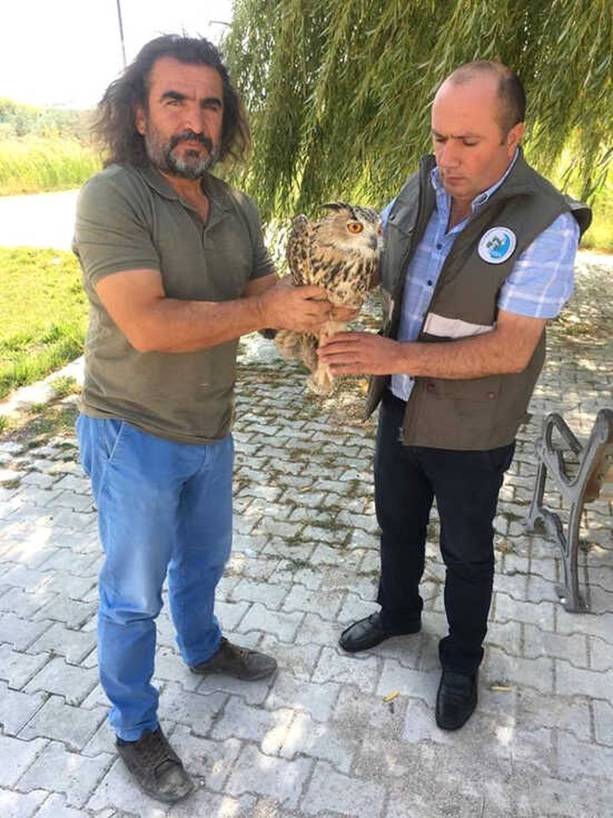 Van\'da Yaralı Kuşlar Tedavi Altına Alındı
