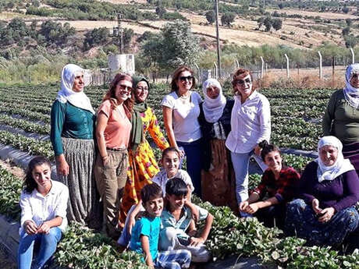 Batmanlı Kadın Çiftçi, Türkiye İkincisi Olduğu Projeyi Hayata Geçirdi