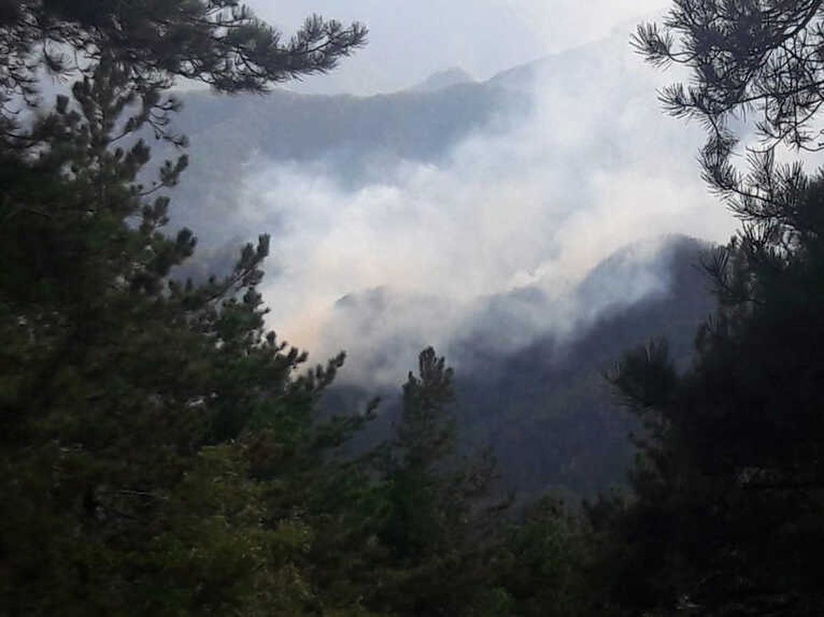 Hatay\'da Orman Yangını