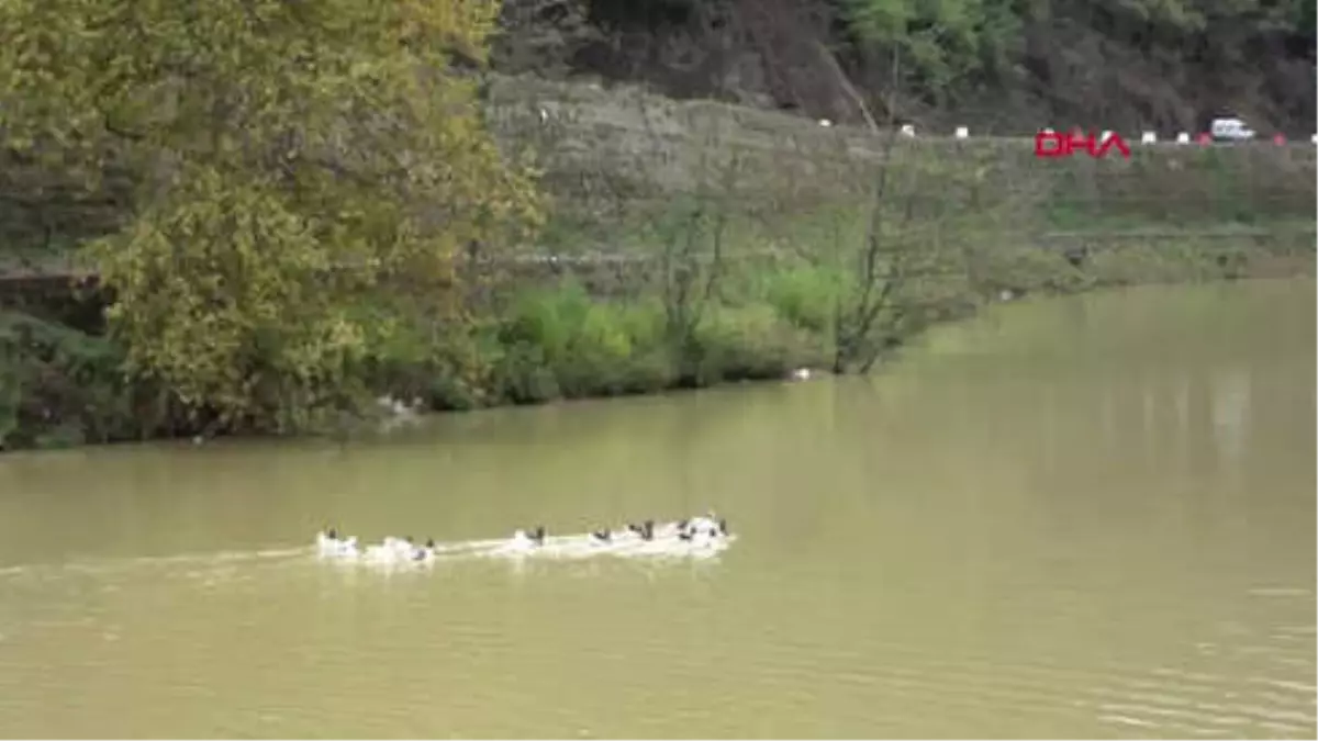 Trabzon Sera Gölü\'ne, Karadeniz Usulü Temizlik