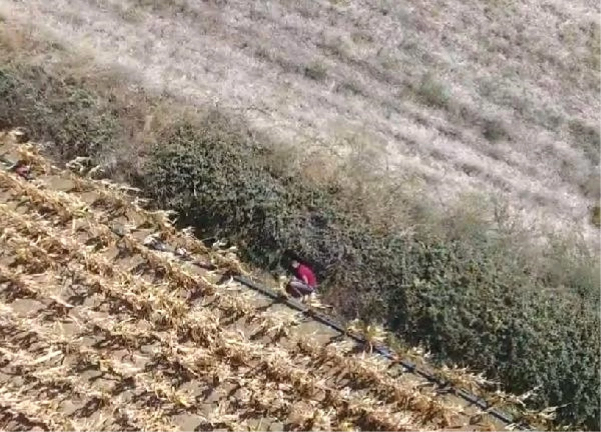 Cezaevi Firarisi, Tarlada Drone ile Yeri Belirlenip Yakalandı