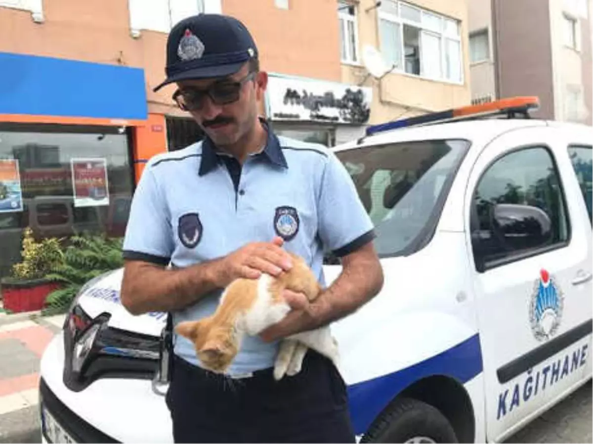 Ek Bilgi ve Fotoğraflarla)- Kediyi Kurtarmak İçin Canını Hiçe Saydı