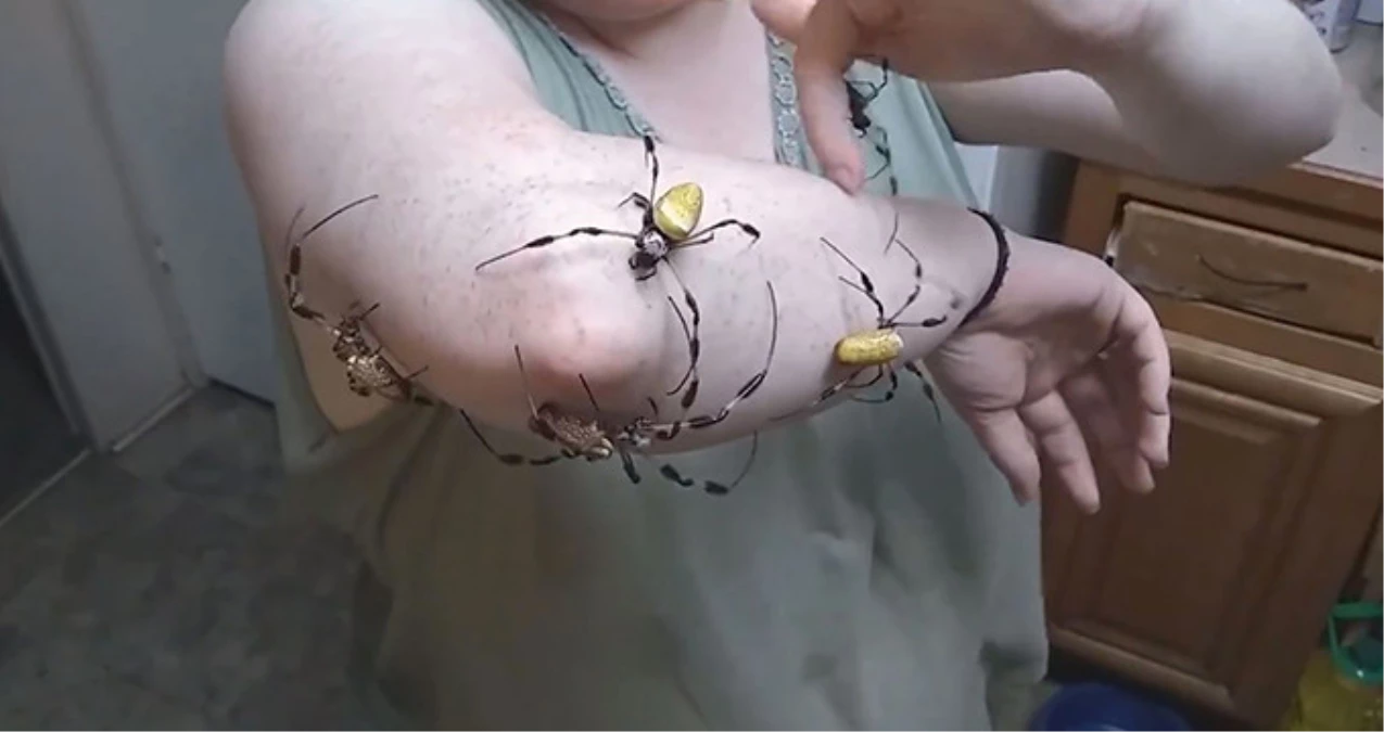 Evinde Beslediği İlginç Örümcekleri Kolunda Gezdiren Kadın, Sosyal Medyada Büyük İlgi Gördü