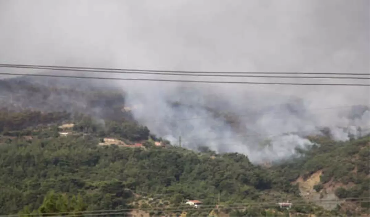 Hatay\'da Orman Yangını