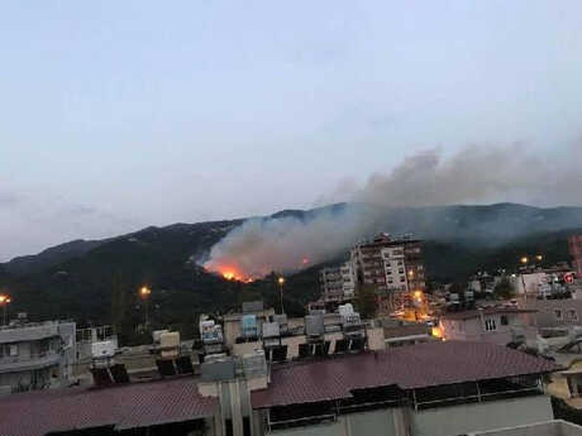 Hatay\'da Orman Yangını (2)